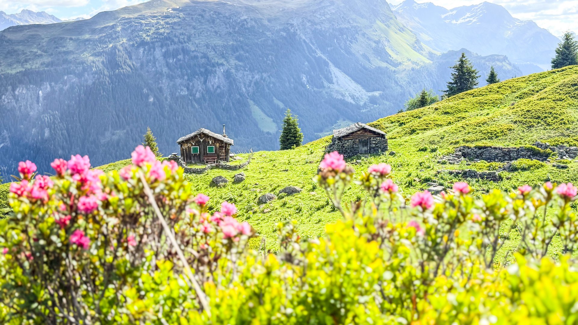 Natur erleben Ihr Hotel in St. Gallenkirch im Montafon: très chic
