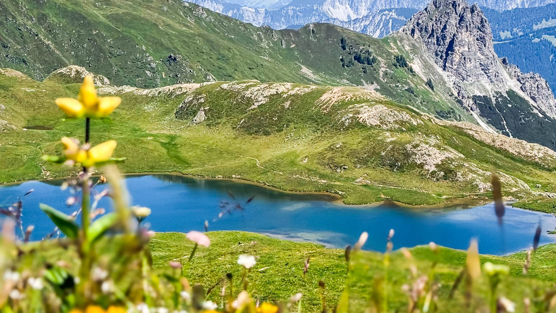 RUHE FINDEN Ihr Hotel in St. Gallenkirch im Montafon: très chic