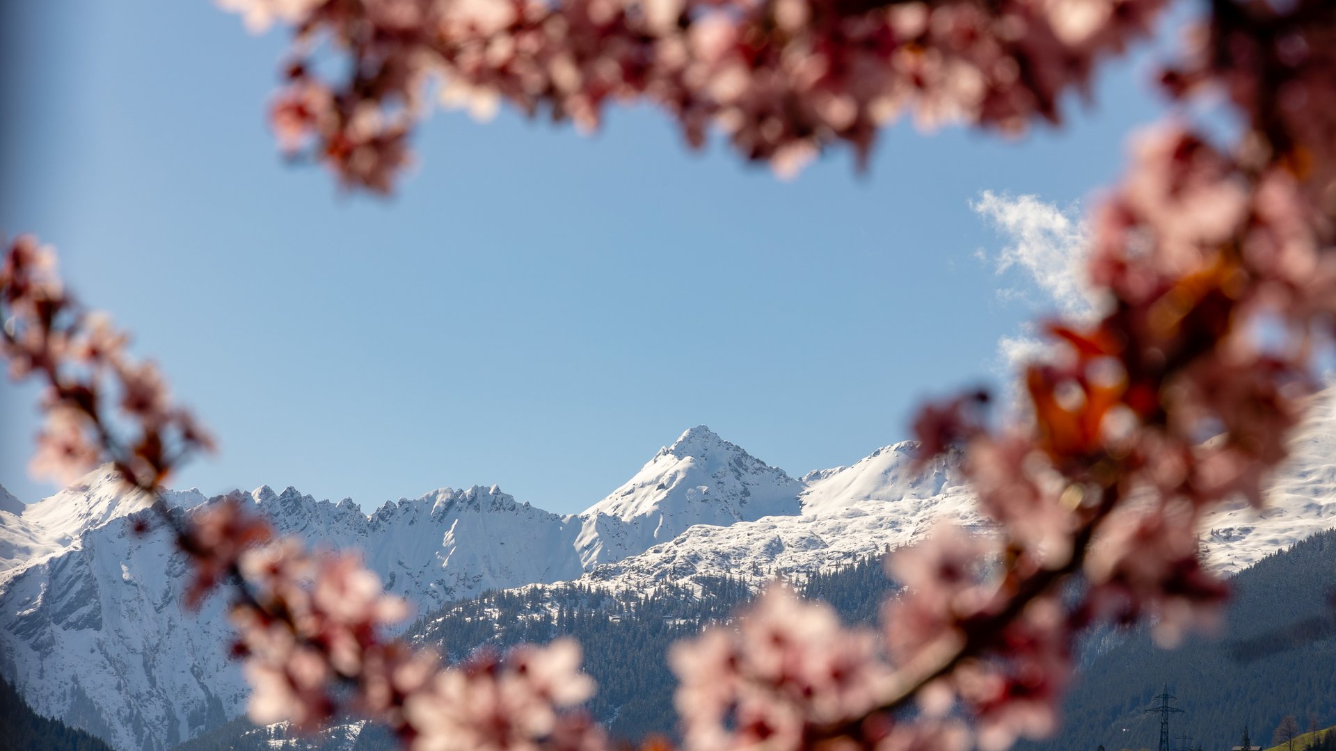 Frühlingsgefühle Ihr Hotel in St. Gallenkirch im Montafon: très chic